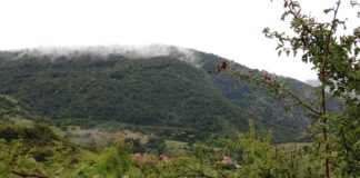 Camino Lebaniego Valle de Pineda Potes y Cervera de Pisuerga