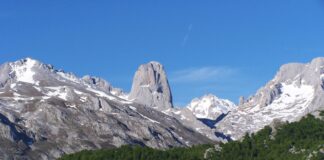 Picos de Europa