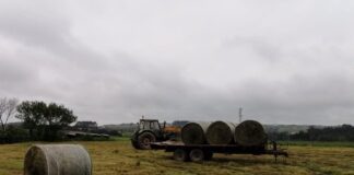 08/09/2020 Trabajos en el campo, rural, agricultur, PAC, tractor. ECONOMIA ESPAÑA EUROPA MURCIA EUROPA PRESS - ARCHIVO