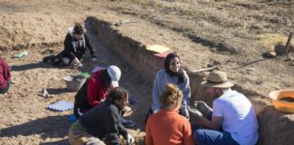 Arqueología en Palencia