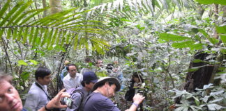 iuFOR ingenieros forestales visita a Vietnam