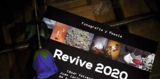 revive 2020 exposición en palencia