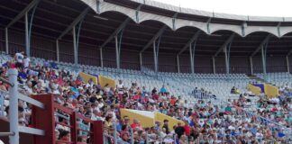 Plaza de Toros de Palencia durante la celebración de una novillada.