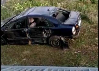 Intentan robar las vallas derribadas por el accidente de la grúa en San Telmo