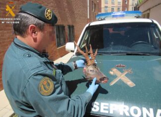 corzo-guardia-civil