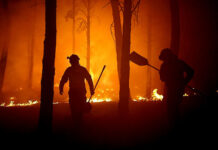 incendio sierra de la culebra