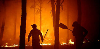 incendio sierra de la culebra