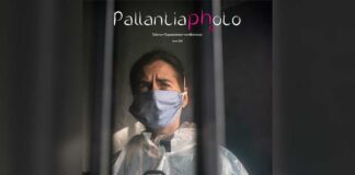 Pallantia Photo 2022