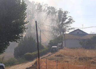 Arde la orilla del río en Palencia