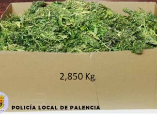 marihuana policía local de palencia