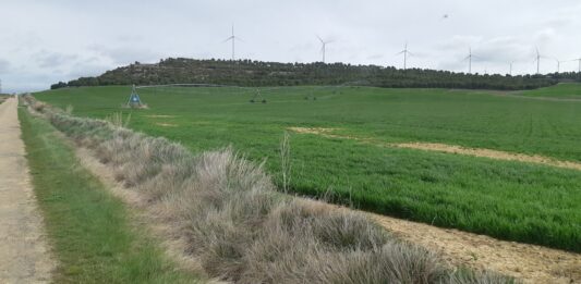 Imagen de archivo: Zona modernizada de regadío en el Canal del Pisuerga, entre Villodre y Boadilla del Camino.