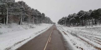 Nieve en las carreteras palentinas este jueves 23 de febrero de 2023