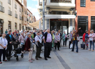 Integrantes de la Asociación Mayores Telefónica celebran en Palencia su XIX Concentración Norte , en la imagen hacen turismo por la calle Mayor de la capital. / Brágimo (ICAL)