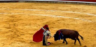 Toros San Antolín 1 de septiembre 2023 - Roberto Lagartos