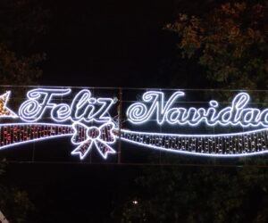 Iluminación navideña en uno de los accesos de la ciudad / PELR