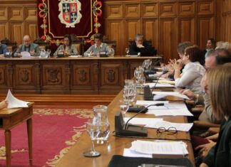 Pleno Ayuntamiento