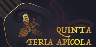 Cartel de la V Feria Apícola de Castilla y León que se celebra en Palencia