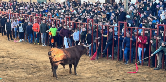 Fiesta de San Sebastián en Paredes de Nava - Encuentro de Coches Clásicos y Festejos Taurinos