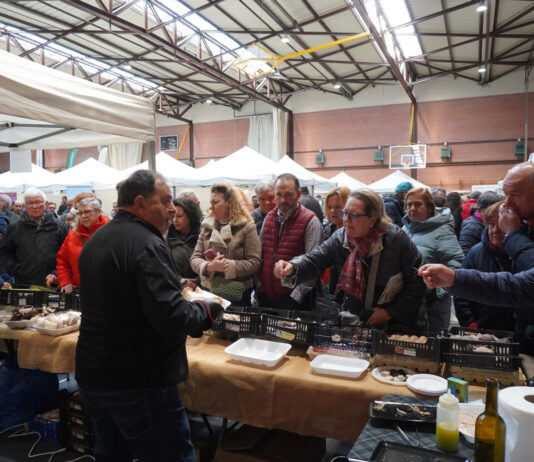 Feria de las Candelas en Saldaña 2024 setas micología micoturismo