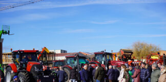 Feria de las Candelas en Saldaña 2024 maquinaria agricultura tractor