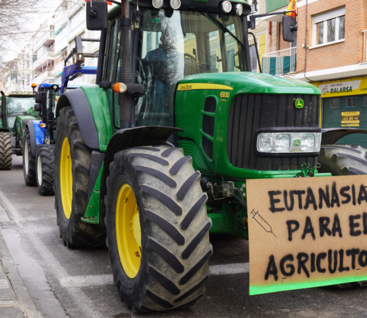 tractorada palencia protestas huelga agricultores manifestación ganaderos febrero 2024