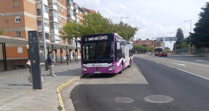 Un autobús urbano de la línea 1 que une el Campus con el Barrio de San Antonio. Óscar Herrero