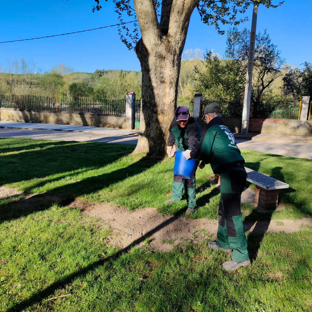 programa mixto jardines saldaña