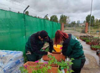 programa mixto jardines saldaña