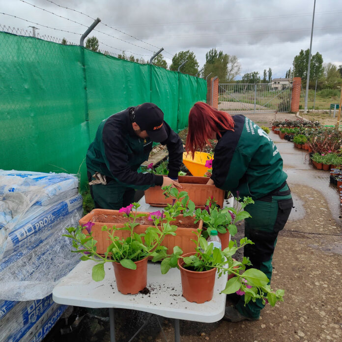 programa mixto jardines saldaña