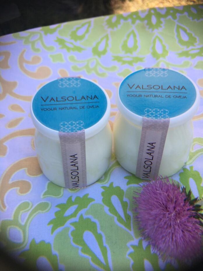 yogur valsolana