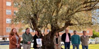 Acto de conmemoración del 25 aniversario del Olivo de la Paz