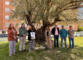 Acto de conmemoración del 25 aniversario del Olivo de la Paz