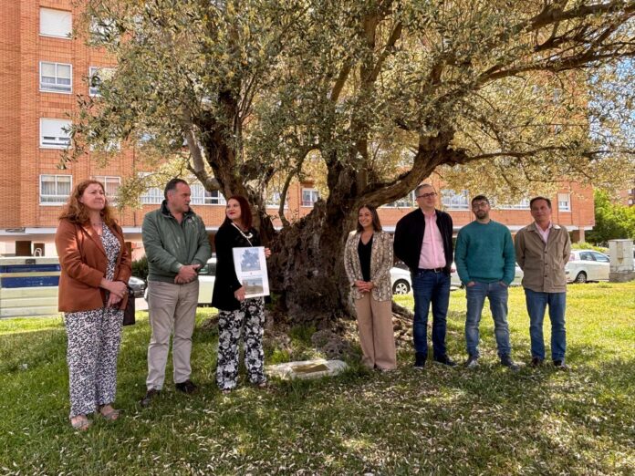 Acto de conmemoración del 25 aniversario del Olivo de la Paz