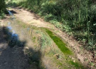 Vertido en el Monte el Viejo