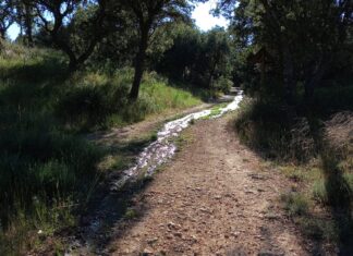 Vertido en el Monte el Viejo