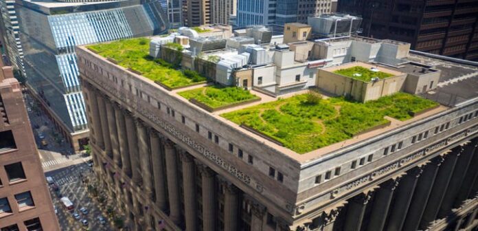 Azoteas verdes de París