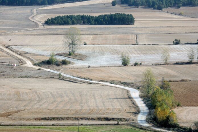 Camino rural Buenavista de Valdavia