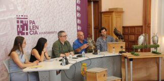 Presentación de medidas contra la densidad de las palomas