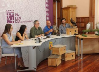 Presentación de medidas contra la densidad de las palomas