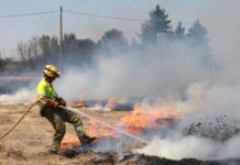 incendio en Palencia, en el camino de San Román, el 31 de julio de 2024 - Brágimo ICAL