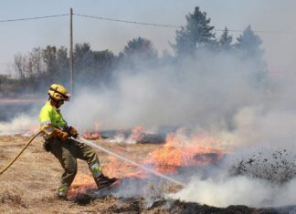 incendio en Palencia, en el camino de San Román, el 31 de julio de 2024 - Brágimo ICAL