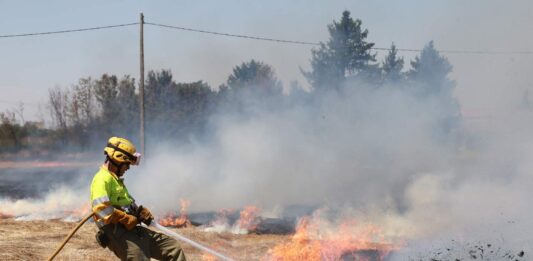 incendio en Palencia, en el camino de San Román, el 31 de julio de 2024 - Brágimo ICAL