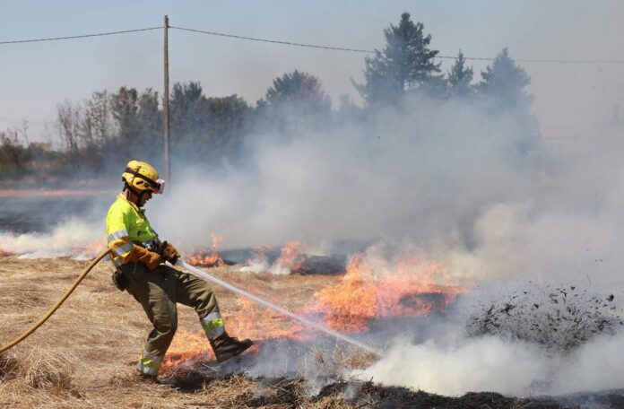 incendio en Palencia, en el camino de San Román, el 31 de julio de 2024 - Brágimo ICAL