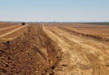 Limpieza mécanica reciente en las vías de dispersión, en Palencia. Plaga de topillo campesino