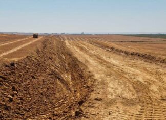 Limpieza mécanica reciente en las vías de dispersión, en Palencia. Plaga de topillo campesino