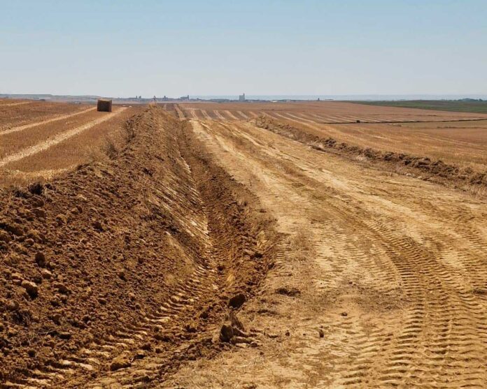 Limpieza mécanica reciente en las vías de dispersión, en Palencia. Plaga de topillo campesino