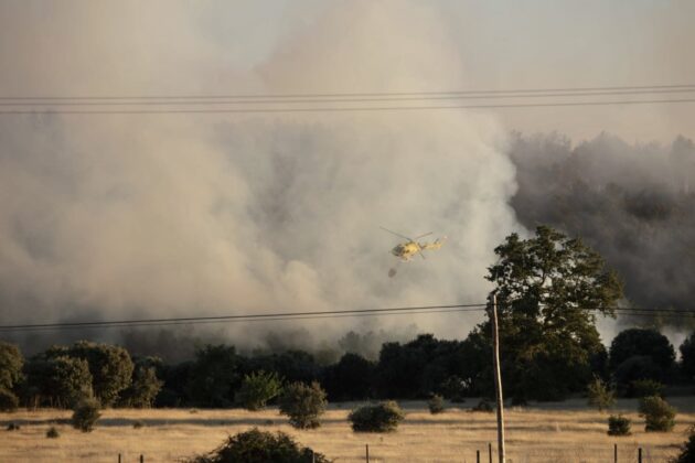 Incendio en Trabazos, Zamora