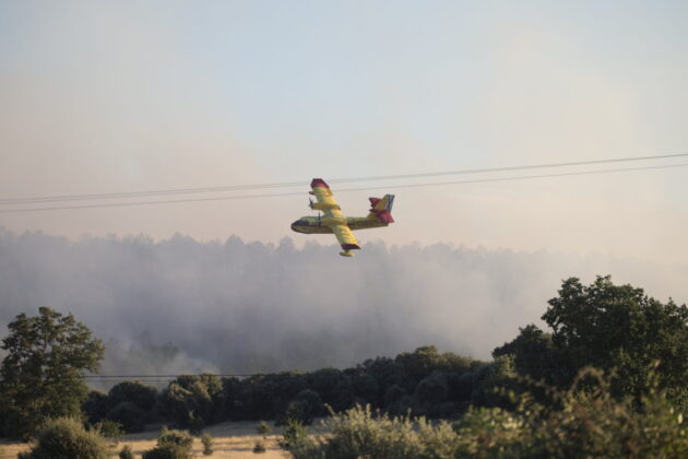 Incendio en Trabazos, Zamora