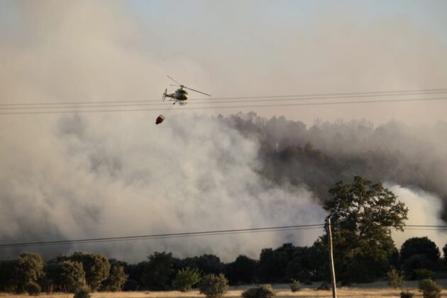 Incendio en Trabazos, Zamora