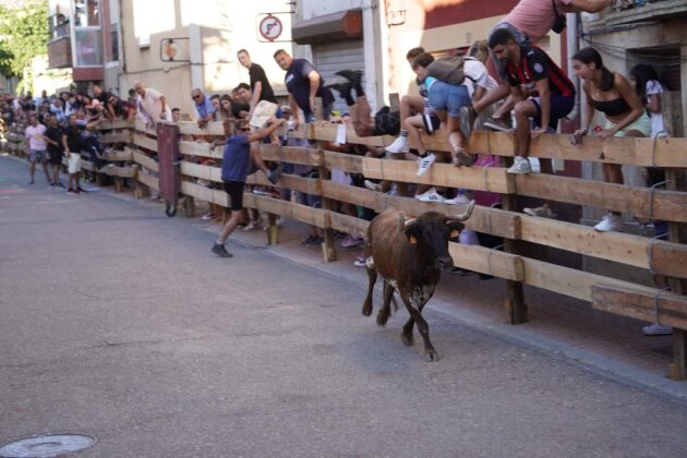 Encierros tradicionales en Torquemada - Agosto 2024